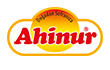 Ahinur Logo