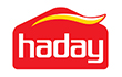 HADAY Logo