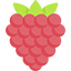 Hindbær Icon