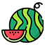 Vandmelon Icon